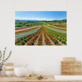 Vloertuin | Shikisai No Oka Flower Boerderij Poster (Keuken)