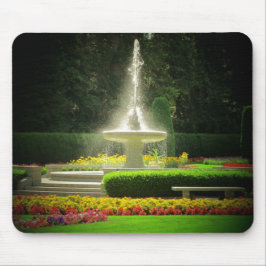 Vloertuinbouwfontein Muismat