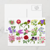 VloertuinBriefkaart Briefkaart (Voorkant / Achterkant)