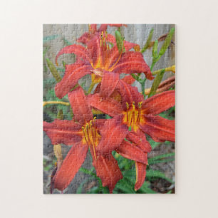 Vloertuinrode Daylillies Green Leaf Foto Legpuzzel