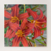 Vloertuinrode Daylillies Green Leaf Foto Legpuzzel (Horizontaal)