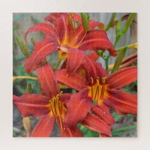 Vloertuinrode Daylillies Green Leaf Foto Legpuzzel