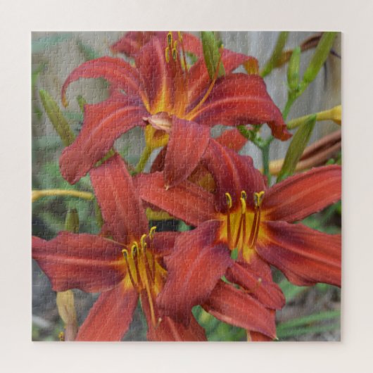 Vloertuinrode Daylillies Green Leaf Foto Legpuzzel (Verticaal)
