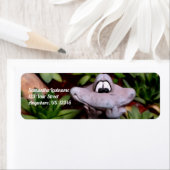 Vloertuinschilderadres voor verklikkerdieren etiket (Insitu)