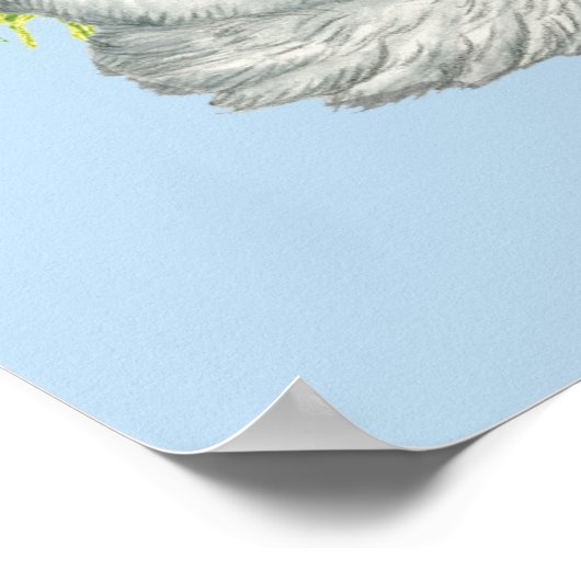 VloertuinSilkies Poster (Hoek)