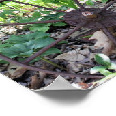 Vloertuinspoel en -pomp poster (Hoek)