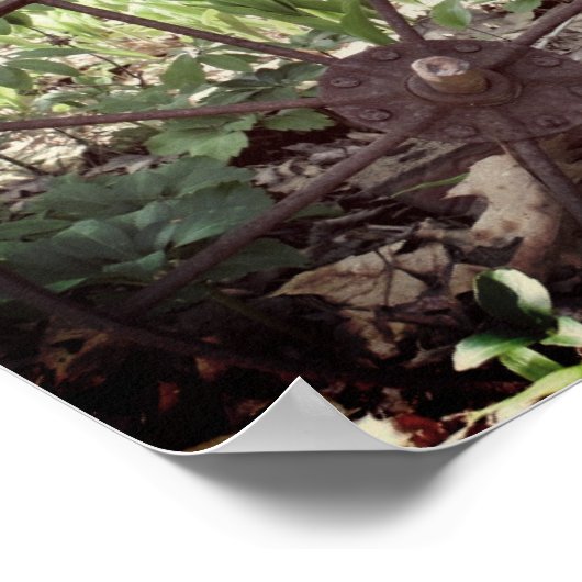 Vloertuinspoel en -pomp poster (Hoek)