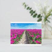 Vloerveld met paarse tulpen en pad briefkaart (Staand voorkant)