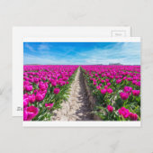 Vloerveld met paarse tulpen en pad briefkaart (Voorkant / Achterkant)