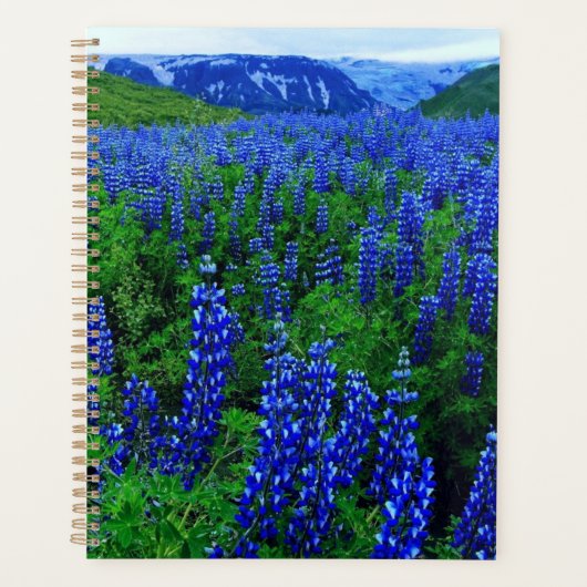 Vloerveld Planner (Voorkant)