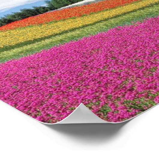 Vloerveld Poster (Hoek)