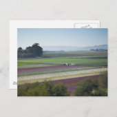 Vloervelden Briefkaart (Voorkant / Achterkant)