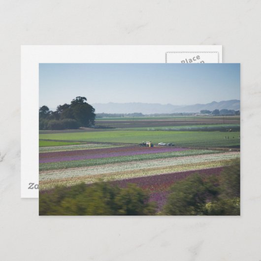 Vloervelden Briefkaart (Voorkant / Achterkant)