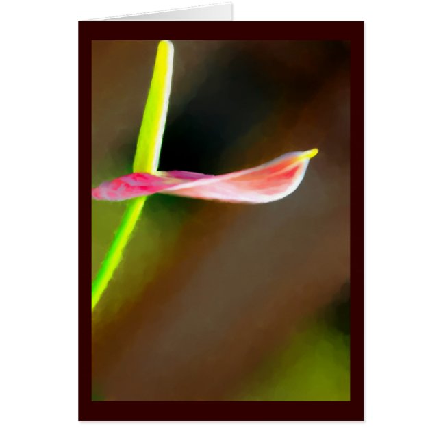 Vloerverfkaart (Voorkant)