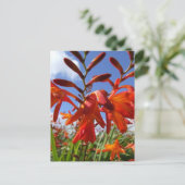 Vloervermogensthema Briefkaart (Staand voorkant)