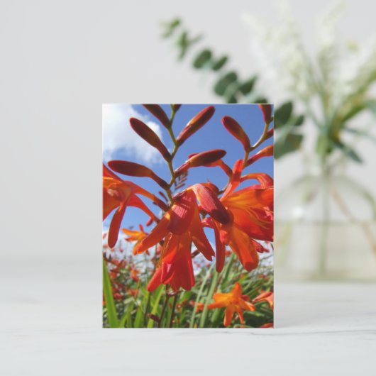 Vloervermogensthema Briefkaart (Staand voorkant)