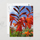 Vloervermogensthema Briefkaart (Voorkant / Achterkant)