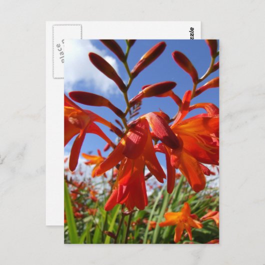 Vloervermogensthema Briefkaart (Voorkant / Achterkant)