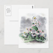 Vloervrouwen Daisy Animated Flowers Grandville Briefkaart (Voorkant / Achterkant)