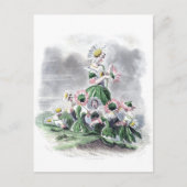Vloervrouwen Daisy Animated Flowers Grandville Briefkaart (Voorkant)