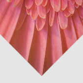 Vloerweefsel Tissuepapier (Detail)