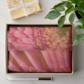 Vloerweefsel Tissuepapier (Geschenk)
