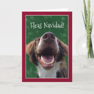 Vlooien Navidad! Humoristische Hond bij Kerstmis Feestdagen Kaart