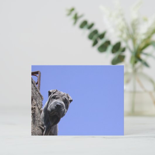 Vlooienmarkt Briefkaart (Staand voorkant)