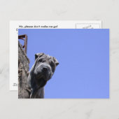 Vlooienmarkt Briefkaart (Voorkant / Achterkant)