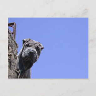 Vlooienmarkt Briefkaart