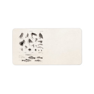 vlooienstraal 1800 etiket