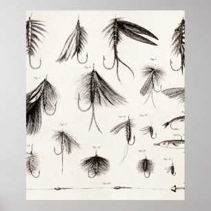 vlooienstraal 1800 poster