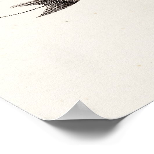 vlooienstraal 1800 poster (Hoek)