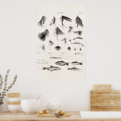  vlooienstraal 1800 poster (Keuken)