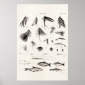  vlooienstraal 1800 poster (Voorkant)