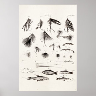  vlooienstraal 1800 poster