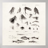  vlooienstraal 1800 poster (Voorkant)