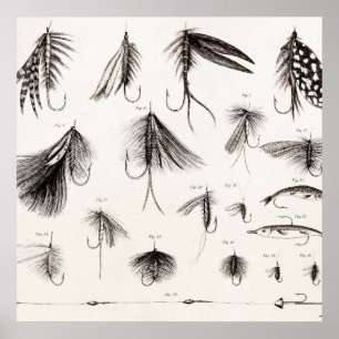 vlooienstraal 1800 poster