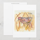 Vlooikaart Kaart (Voorkant / Achterkant)