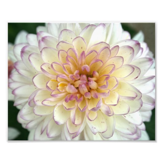 vlot foto afdruk (Voorkant)