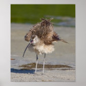 vlot poster (Voorkant)