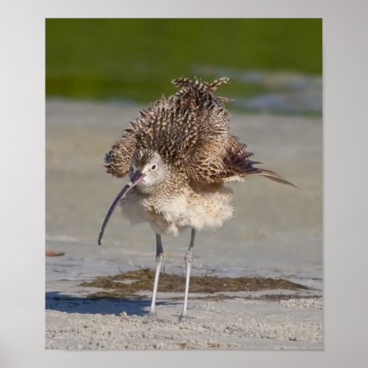 vlot poster (Voorkant)