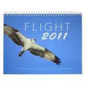Vlucht 2011 kalender (Hoes)