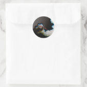Vlucht 3 stkcna ronde sticker (Tas)