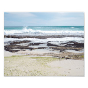 Vlucht naar lente foto afdruk