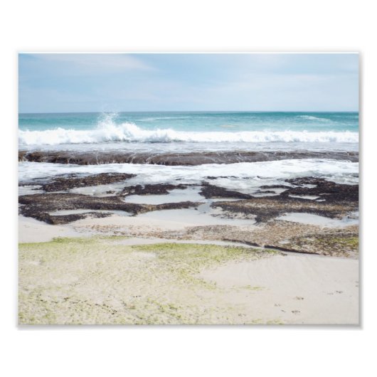 Vlucht naar lente foto afdruk (Voorkant)