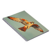  vlucht van de Amerikaanse torenvalk Notitieboek (Rechterzijde)