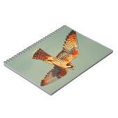  vlucht van de Amerikaanse torenvalk Notitieboek (Linkerzijde)