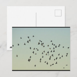 Vlucht van de Duiven Briefkaart