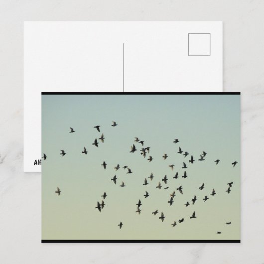 Vlucht van de Duiven Briefkaart (Voorkant / Achterkant)